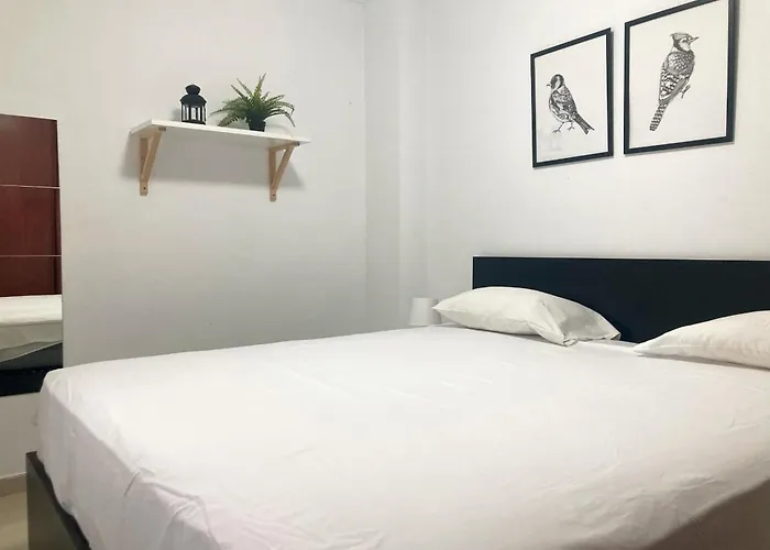 Lejlighed Farray Flat Iii By Canary365 *